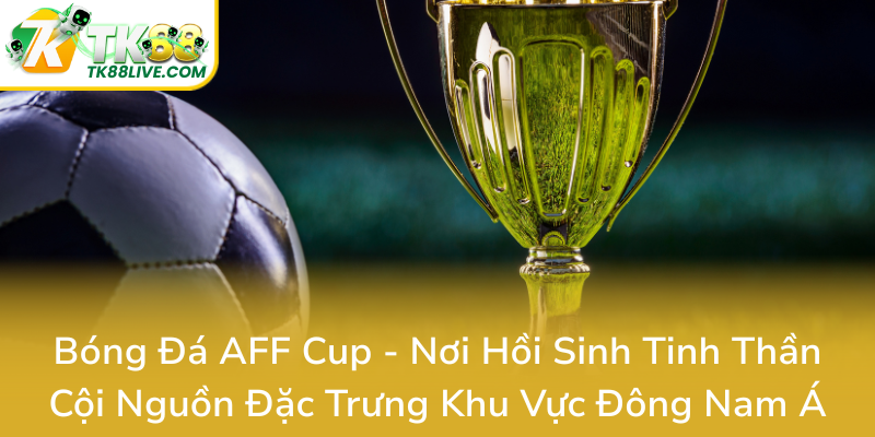 Bong Da Aff Cup Noi Hoi Sinh Tinh Than Coi Nguon Dac Trung Khu Vuc Dong Nam A0