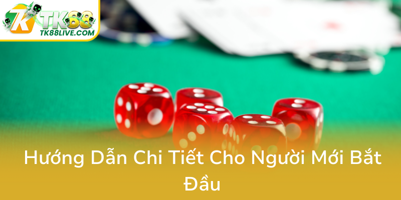 Huong Dan Chi Tiet Cho Nguoi Moi Bat Dau0