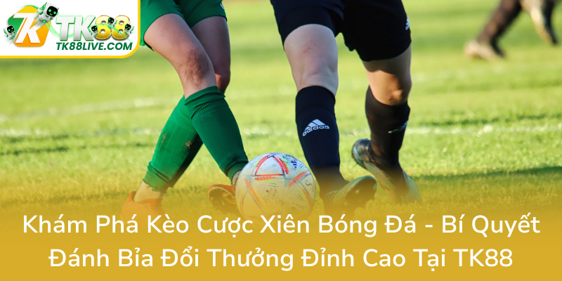 Kham Pha Keo Cuoc Xien Bong Da Bi Quyet Danh Bia Doi Thuong Dinh Cao Tai Tk880
